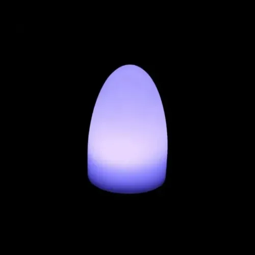 LES LED Egg