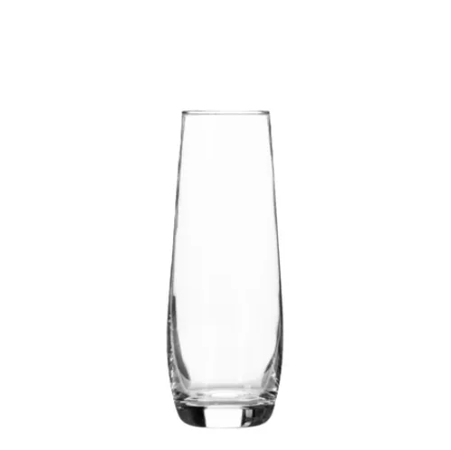 Stemless Champagne Glass