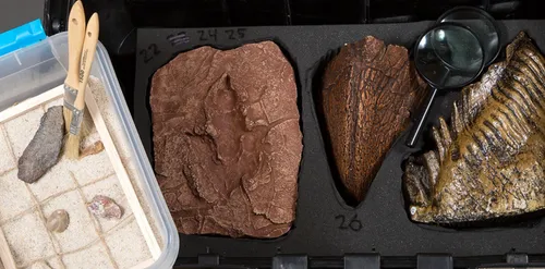 Utah's Fossil Past Toolbox