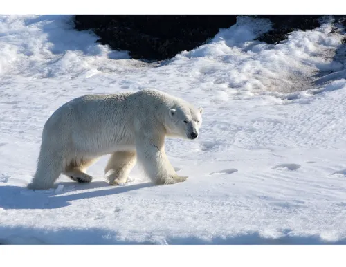 Hogle Zoo Climate Care Kit