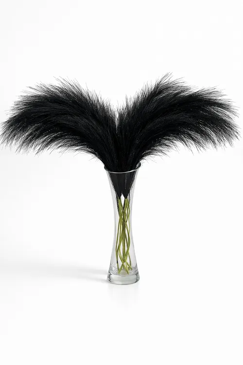 Black Pampas - Bundle