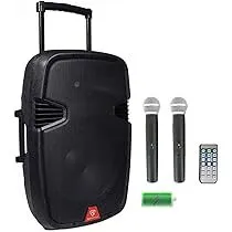 Rockville RAM15BT 800W 15