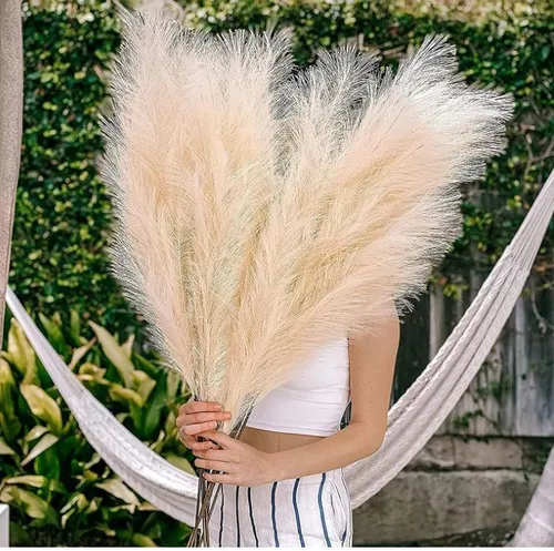 Pampas Grass Boho Decor 36 inches (5 per set)