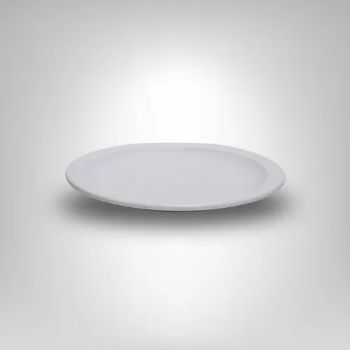 Plate- Plastic