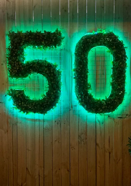 50 greenery light up numbers
