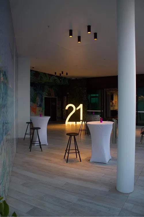 2 and 1 light up numbers 