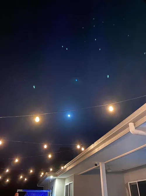 Festoon Lights - 20 Metres