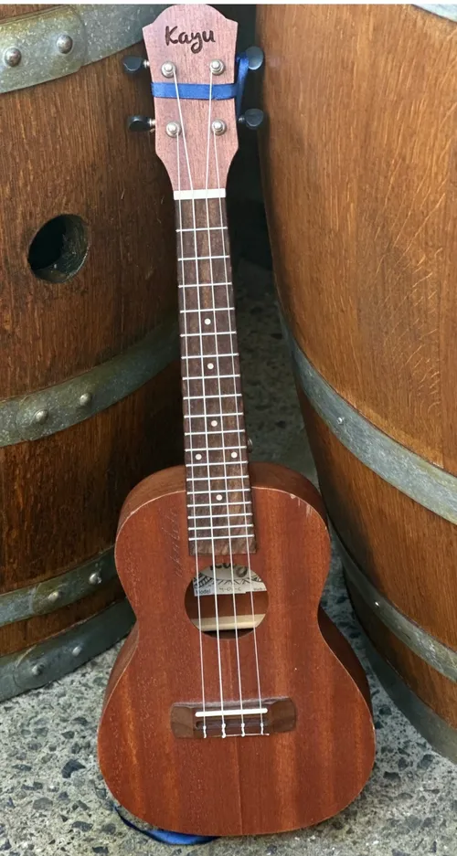 Ukulele Prop