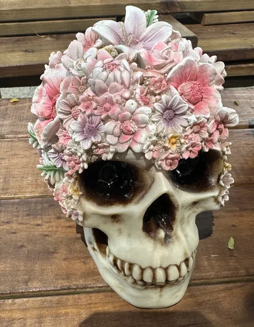 Skull with pink flowers