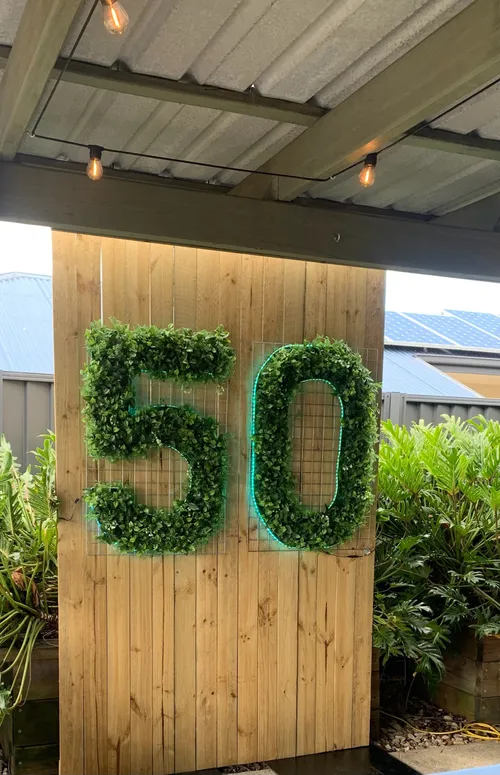 50 greenery light up numbers
