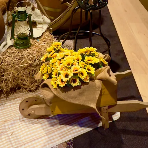 Mini wooden wheelbarrow with sunflowers
