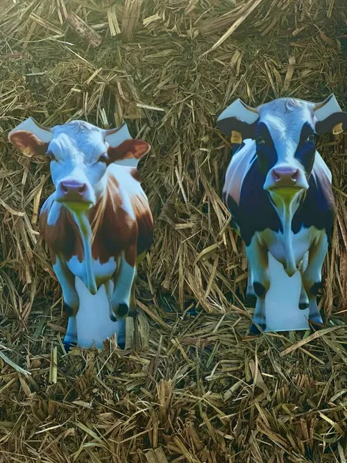 Small Cow Garden Stake Acrylic