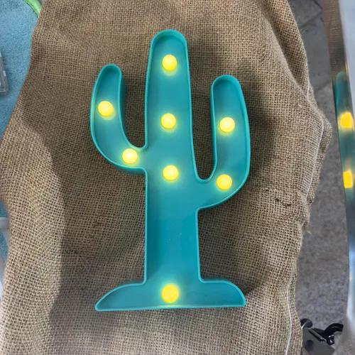 Light up cactus 