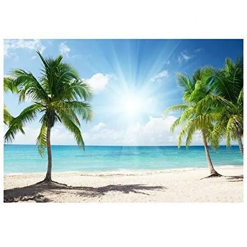 Beach Tropical Palm Tree Scene Backdrop