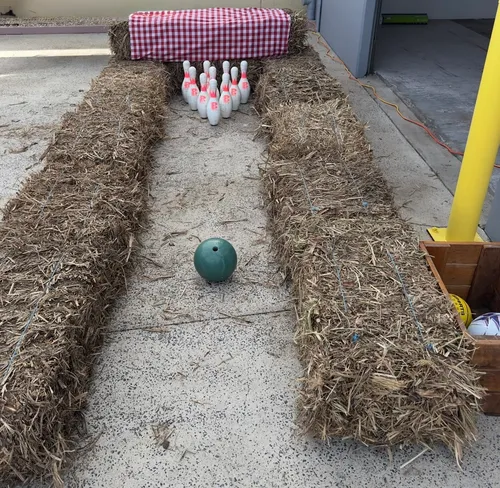Sugar cane ten pin bowling