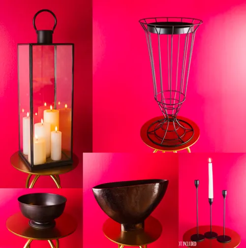 Wild Fable Luxe Bundle