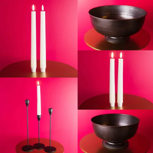 Wild Fable Medium Rental Decor Bundle