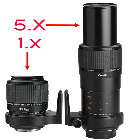 Canon MP-E (EF) 65mm f/2.8 1:1-5:1 X Macro Lens