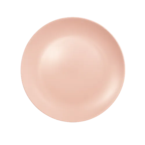 Plato Grande Rosa Matte