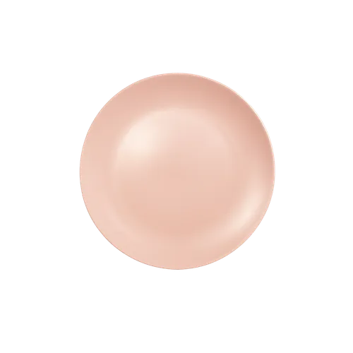 Plato Pequeño Rosa Matte