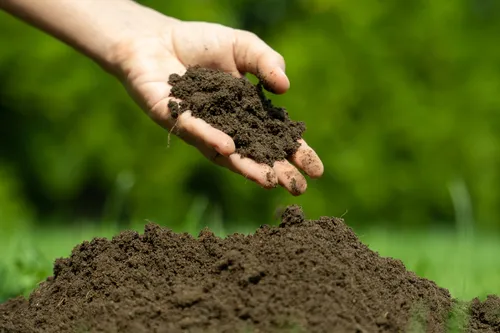 Soil (Price/Yard)