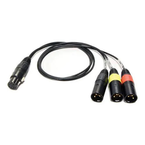 Schoeps Mikrofone AK DMS 3U