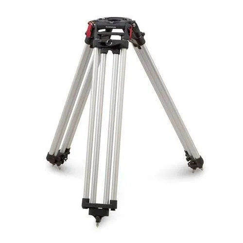 Standard legs O'Connor