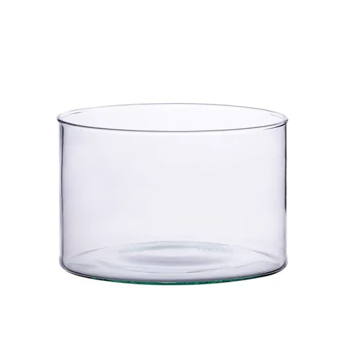 Cylinder Vase - Clear (12cm x 12cm)