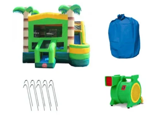 Palm Tree Bounce house combo wet or dry 