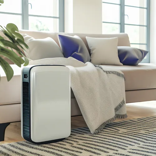 Portable Whole House Dehumidifier