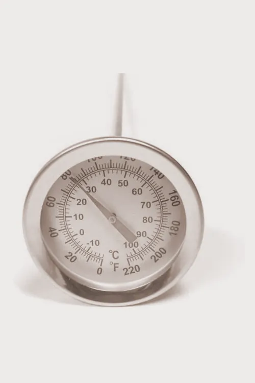 Thermometer with Easy-Read Dial and 12