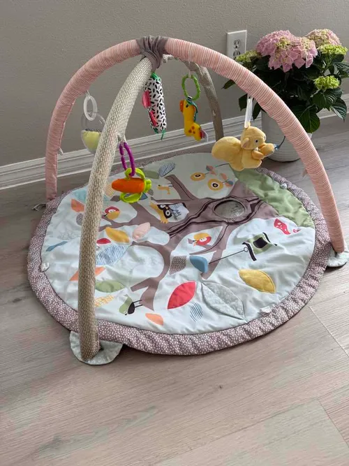 Baby Play Mat - Brands Vary