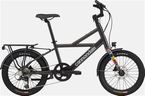 e-Bike: Cannondale Compact