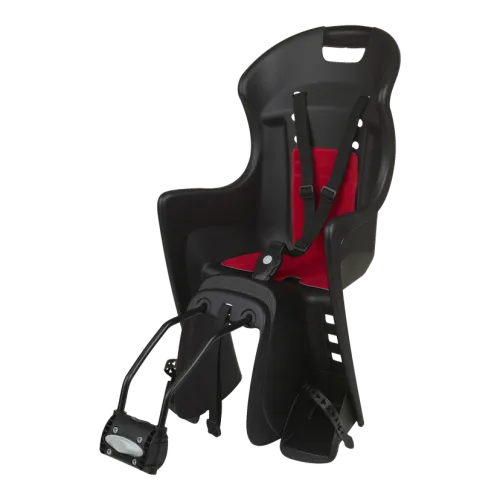 Adult Bike + Childs Bicycle Seat