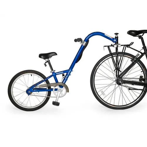 Adult Bike + Childs Tag-along