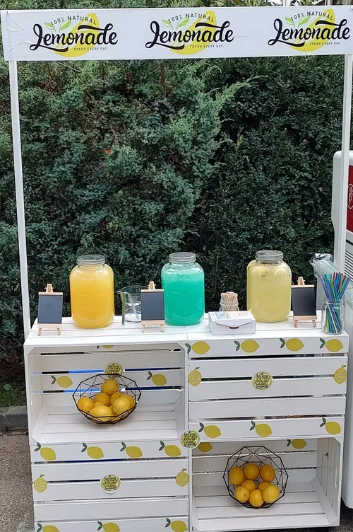 Consumabile limonada 100 portii