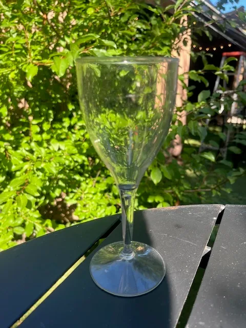 Plastic Wine Cup