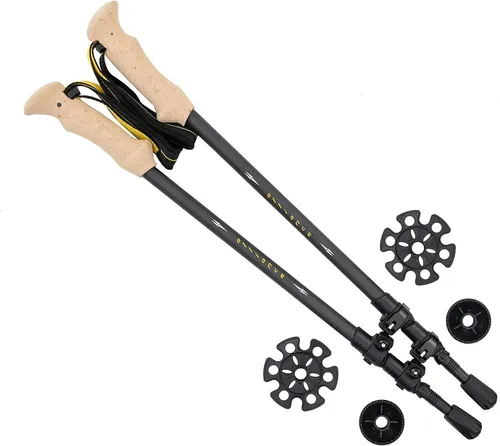 Trekking Poles (pair)- ALPS Mountaineering