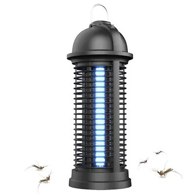 Bug Zapper and Light - Rechargeable 