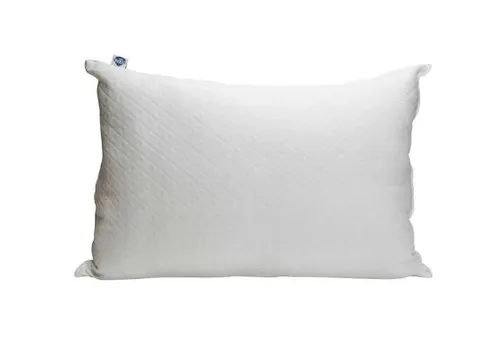 Pillow + Case - Standard (Queen)
