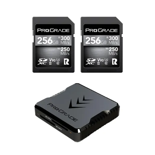 PROGRADE DIGITAL 256GB V90