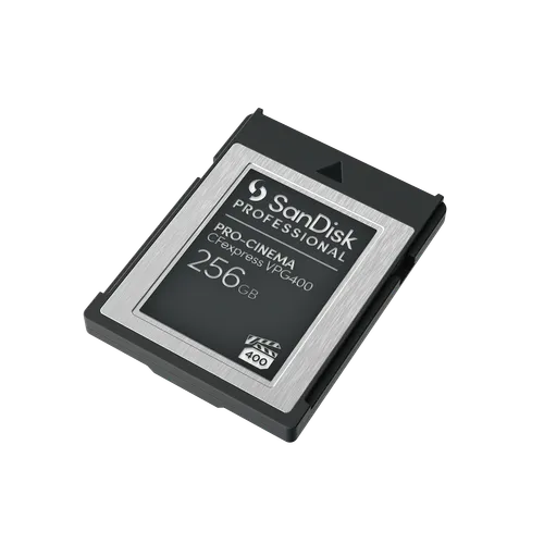 SANDISK CF EXPRESS TYPE B 256GB