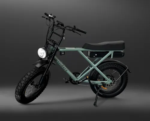 Ezriderz Dual Seat Retro E-Bike