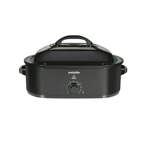 Electric Roaster