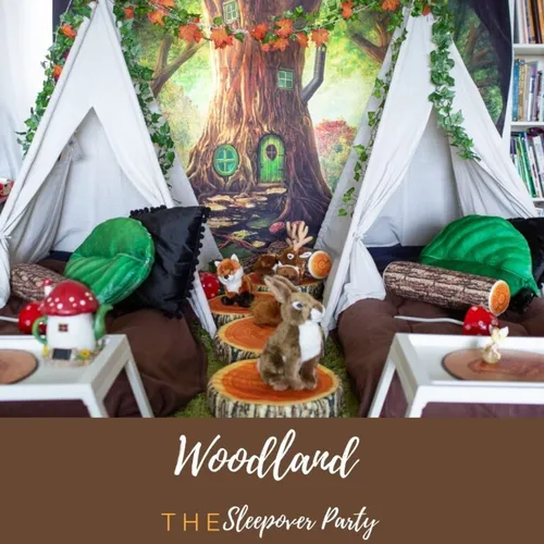 Woodland Sleepover Package