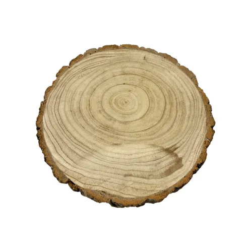Log - slices