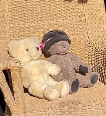 Vintage Teddy Bear Prop Pair