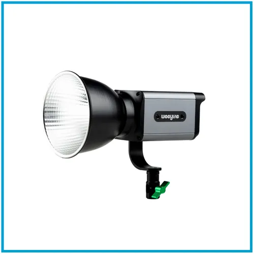 LED Weeylite Ninja 300