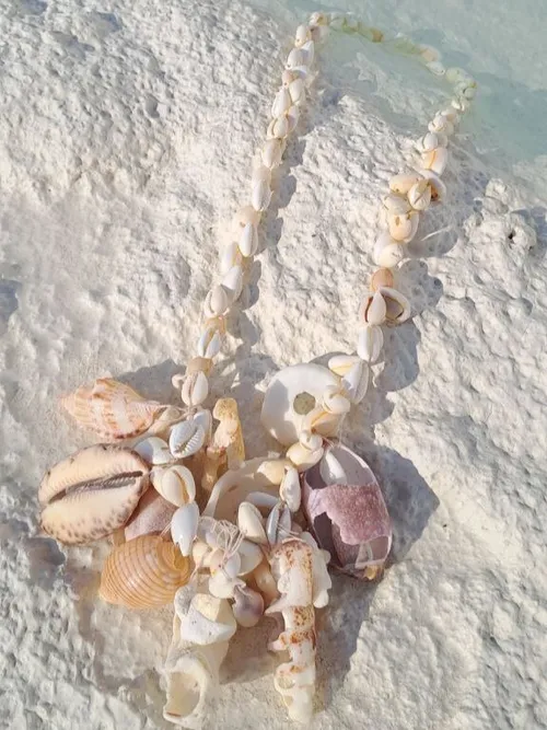 Medium Shell Necklace