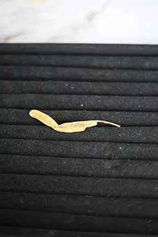 Abstract Design Brooch